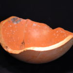 Pacific Northwest Sculptors member Andy Kennedy's orange plastic bowl.
