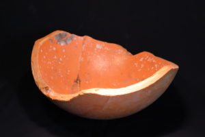 Pacific Northwest Sculptors member Andy Kennedy's orange plastic bowl.
