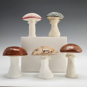 Five ceramic mushrooms